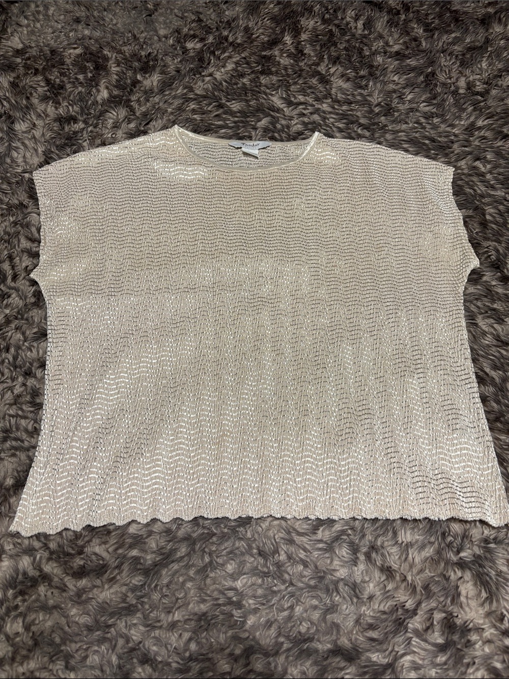 TanJay Shimmery Cream Short Sleeve Knit Top